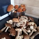 Vakantiehuis Cicha Przystan Na Kaszubach *