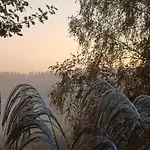 Cicha Przystan Na Kaszubach * Miechucino