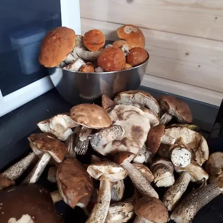 Nyaraló Cicha Przystan Na Kaszubach *