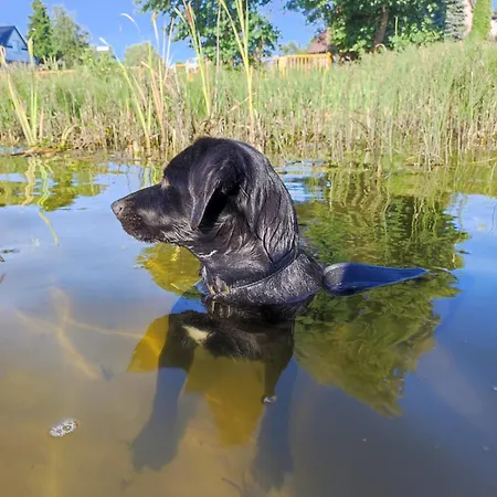 Nyaraló Cicha Przystan Na Kaszubach Miechucino