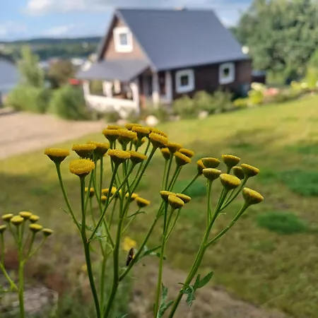 Ferienhaus Cicha Przystan Na Kaszubach *