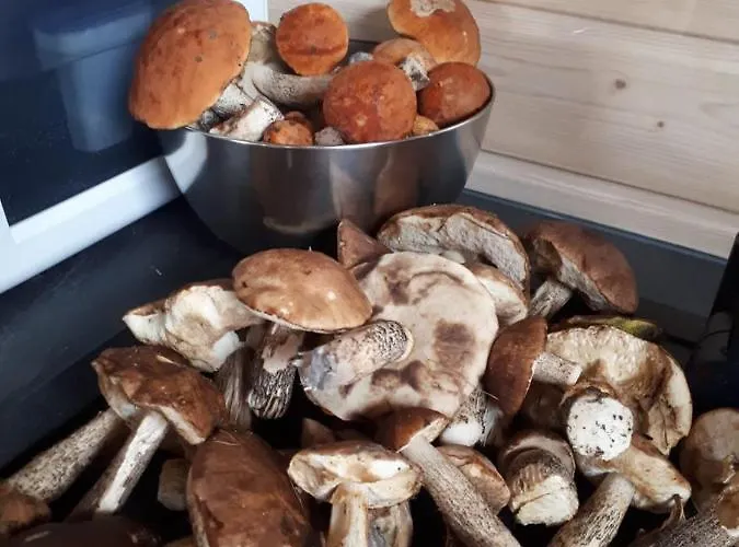 度假居 Cicha Przystan Na Kaszubach *