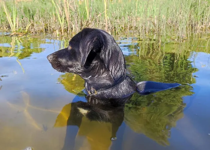 بيت للعطل Cicha Przystan Na Kaszubach Miechucino