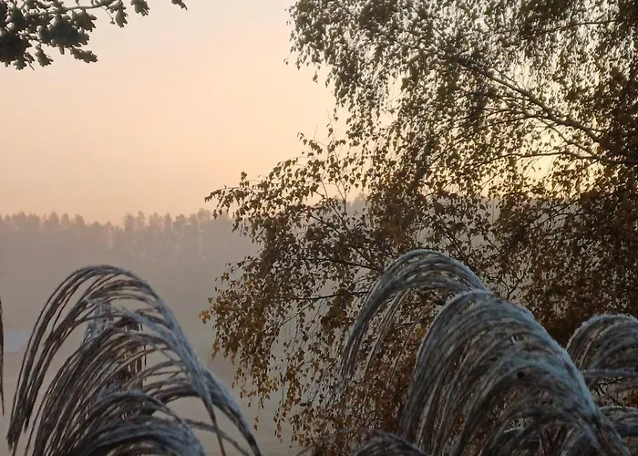 Cicha Przystan Na Kaszubach * Miechucino