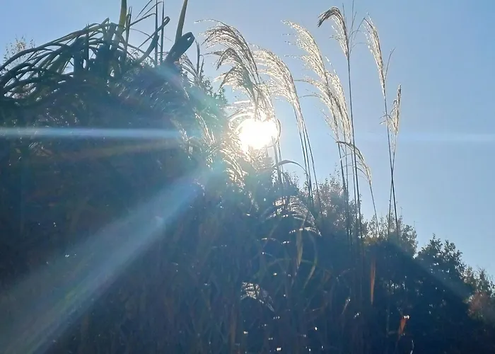 Cicha Przystan Na Kaszubach بيت للعطل *