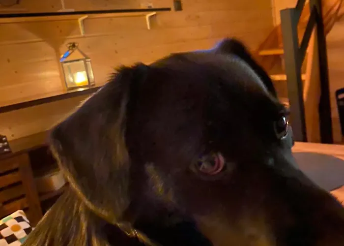 Cicha Przystan Na Kaszubach بيت للعطل *